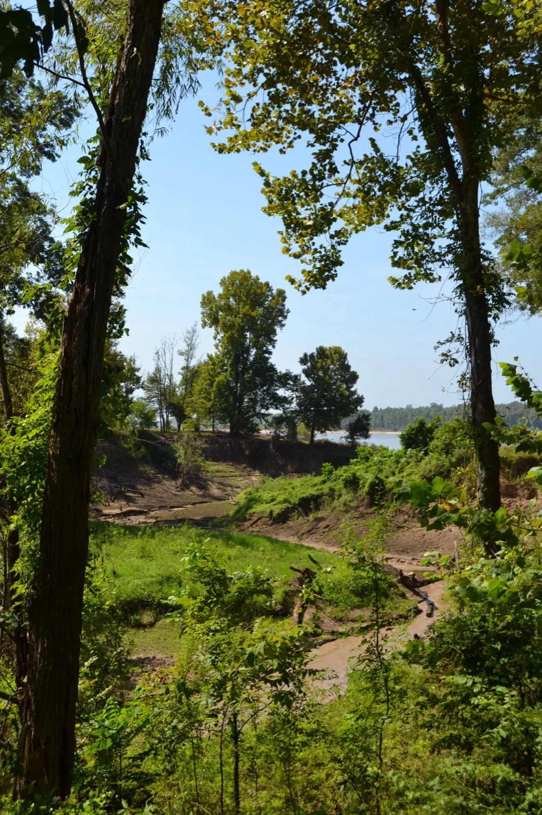 Como Bayou