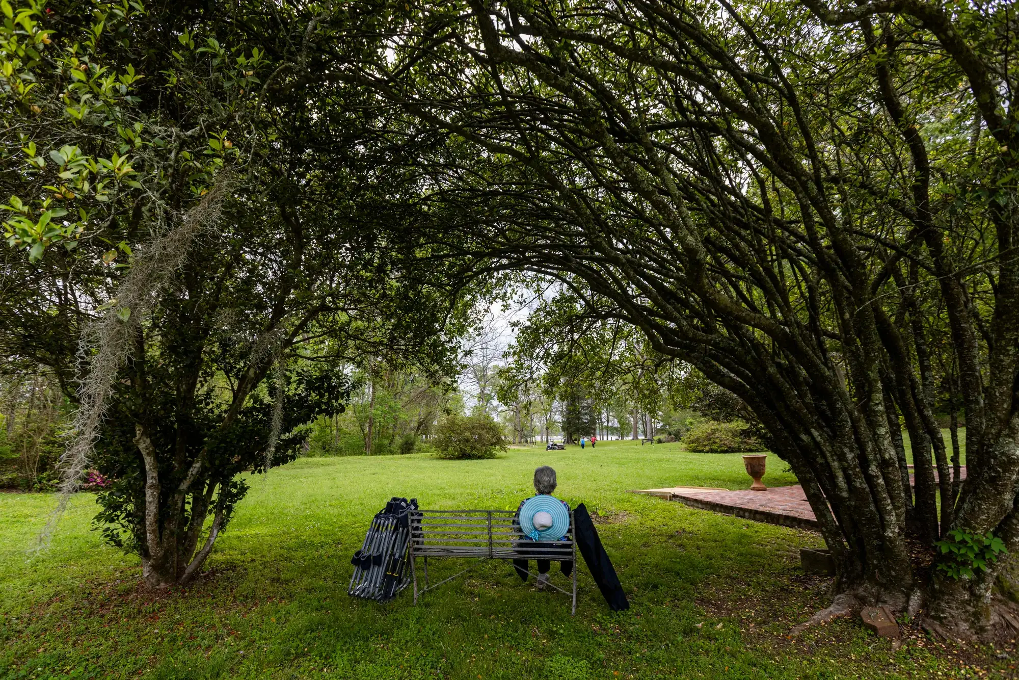 A quiet bench beneath the trees at Como