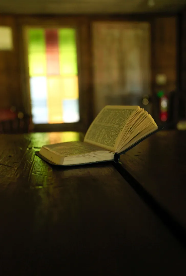 An open Bible in morning light