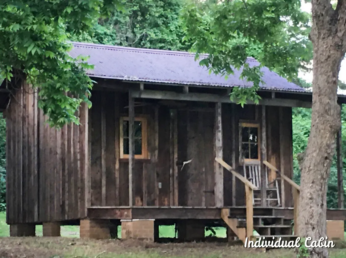 A guest cabin among the trees