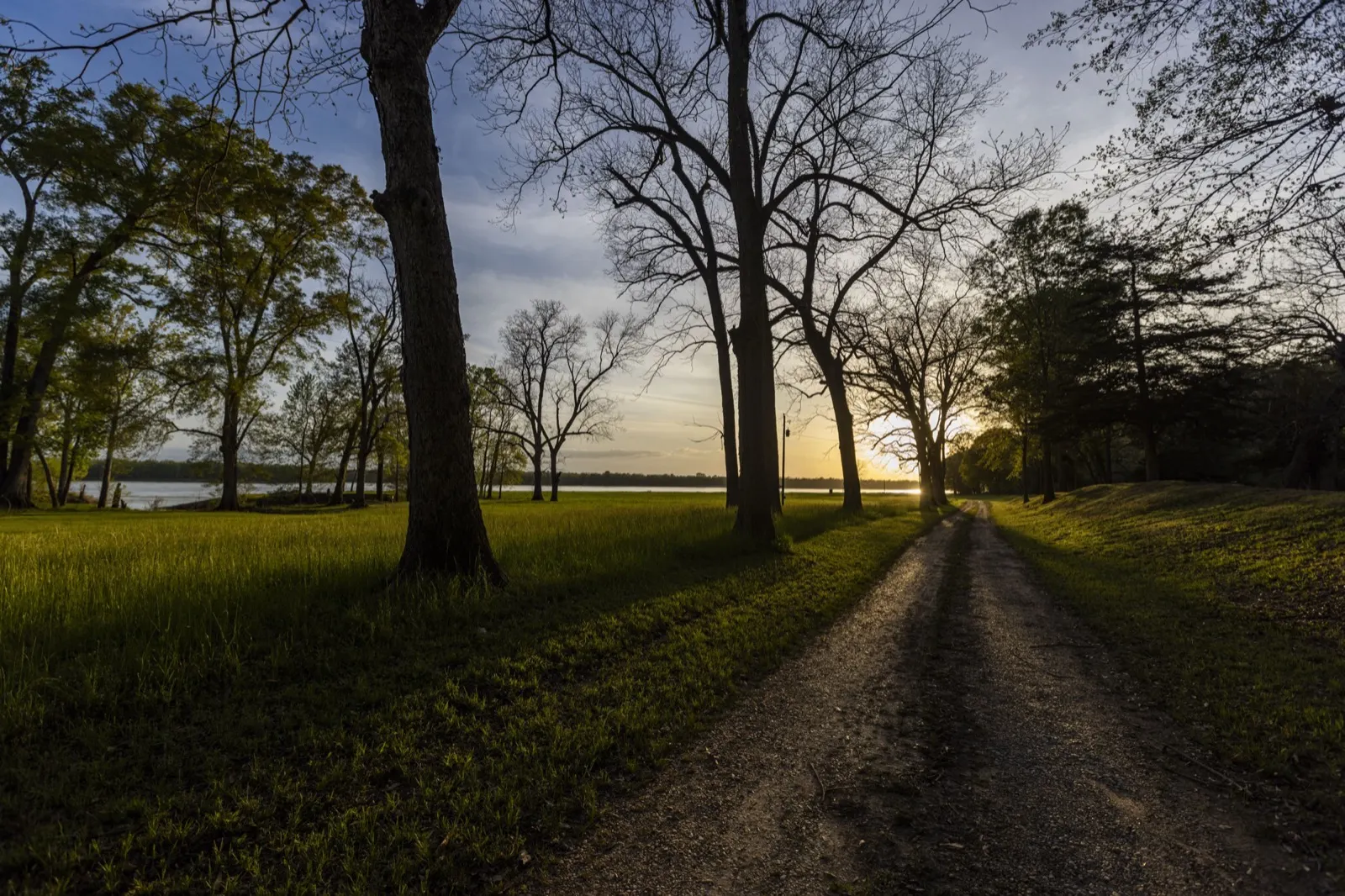 The gravel road at first light, the river beyond the trees