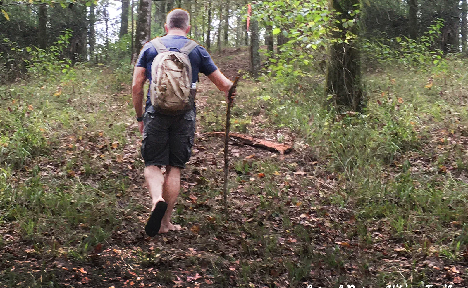 A hiker on the wooded trails in the Tunica Hills